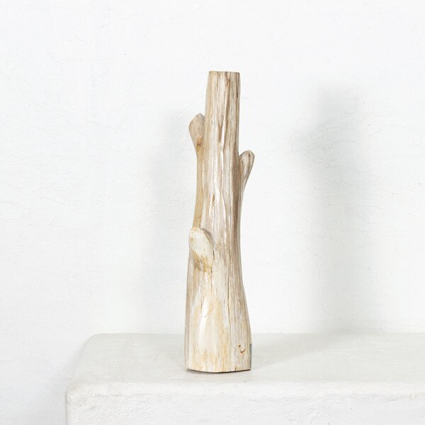 Petrified Wood Branch